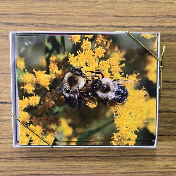 Five Boxes of Blank Notecards with Bees (12 to a box, 60 cards total) - Picture 10 of 11